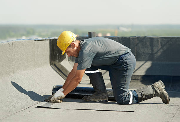 Best Eco-Friendly Insulation in New Castle, DE