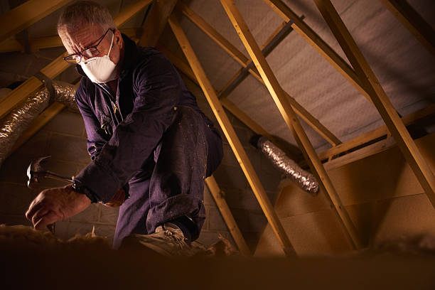 Types of Insulation We Offer in New Castle, DE